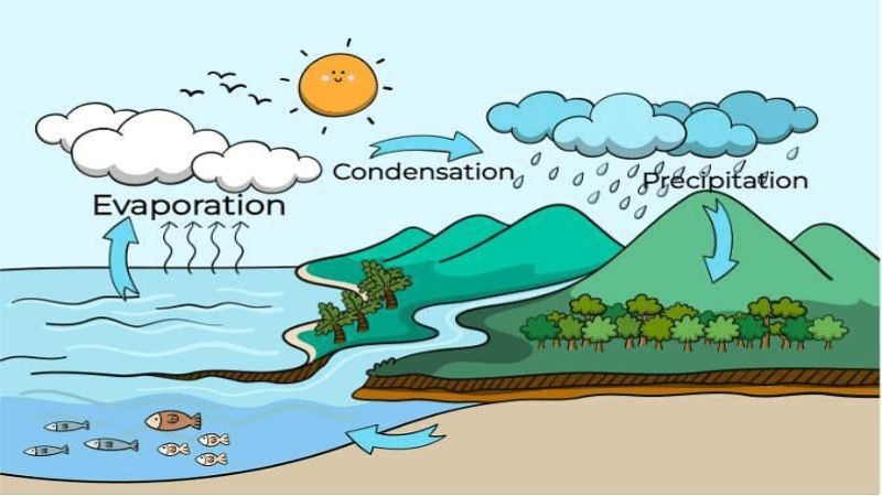 🌊 समुद्राचं पाणी खारट का असतं? | सोप्या भाषेत विज्ञान salty water post image2