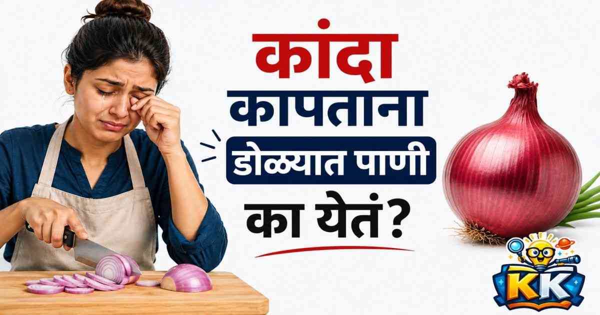 😢कांदा कापताना डोळ्यात पाणी का येतं? जाणून घ्या यामागचं भन्नाट विज्ञान!