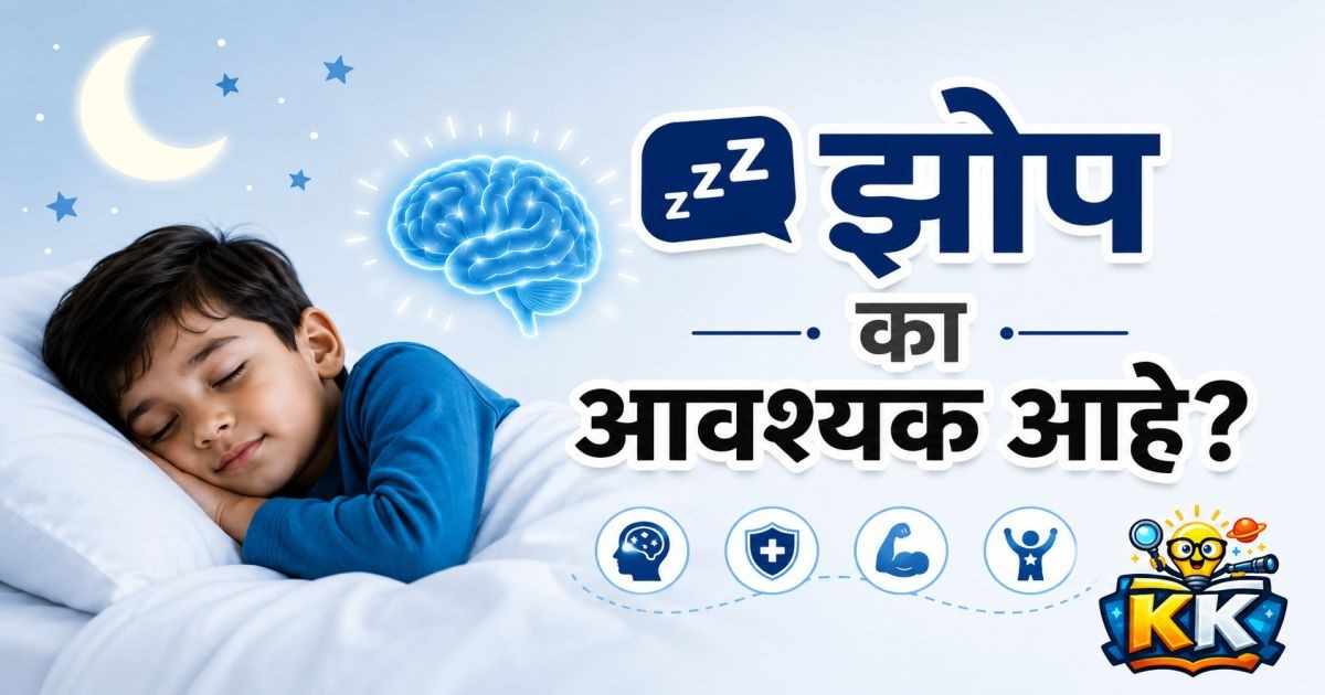 💤 झोप का आवश्यक आहे? झोपेशिवाय आपल्या शरीरात नेमकं काय होतं?