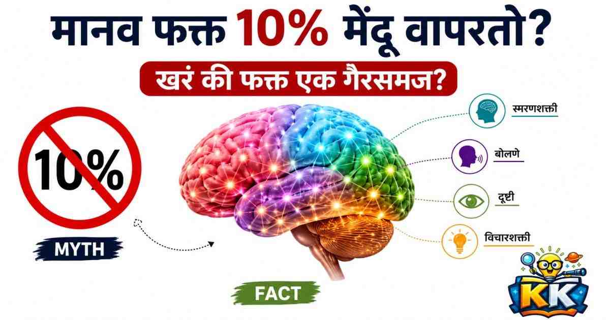 🧠 मानव फक्त 10% मेंदू वापरतो हे खरं आहे का? की हा फक्त एक मोठा गैरसमज?
