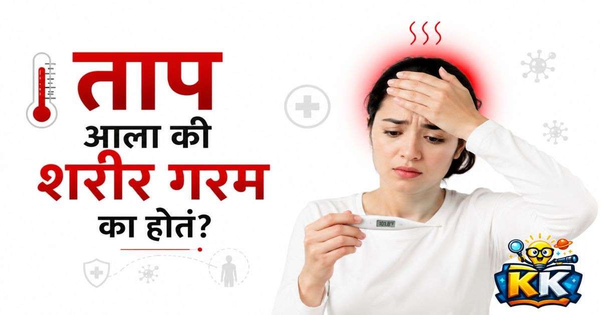🌡️ ताप आला की शरीर गरम का होतं? आजाराशी लढताना शरीरात नेमकं काय घडतं?