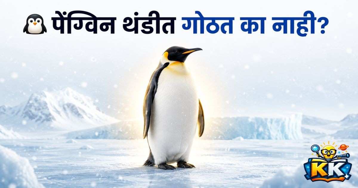 🐧 पेंग्विन थंडीत गोठत का नाही?