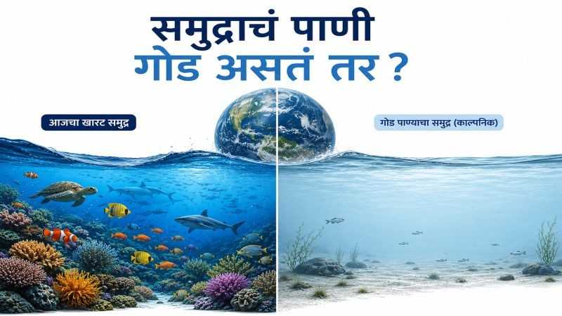 🌊 समुद्राचं पाणी गोड असतं तर? पृथ्वीवरचं आयुष्य पूर्णपणे बदललं असतं का? sea water post image