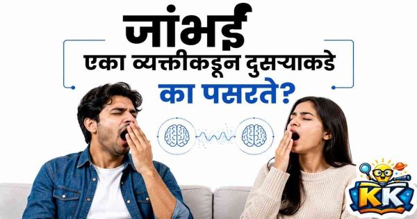yawn feature image