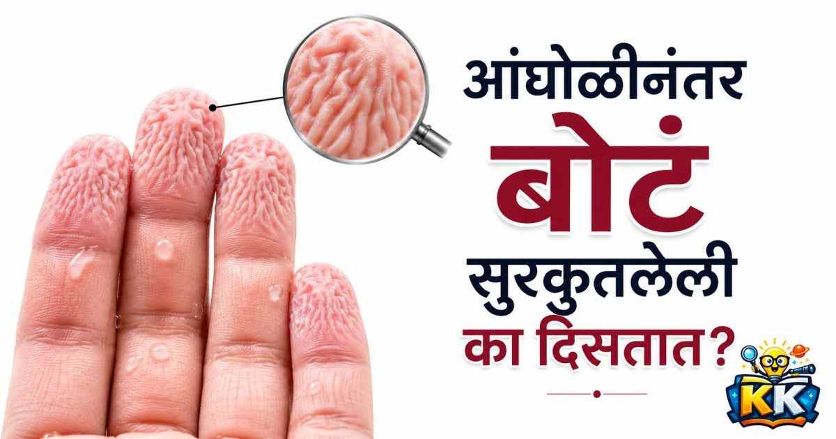 🚿 आंघोळीनंतर बोटं सुरकुतलेली का दिसतात? जाणून घ्या शरीरातील या आश्चर्यकारक प्रक्रियेचं रहस्य